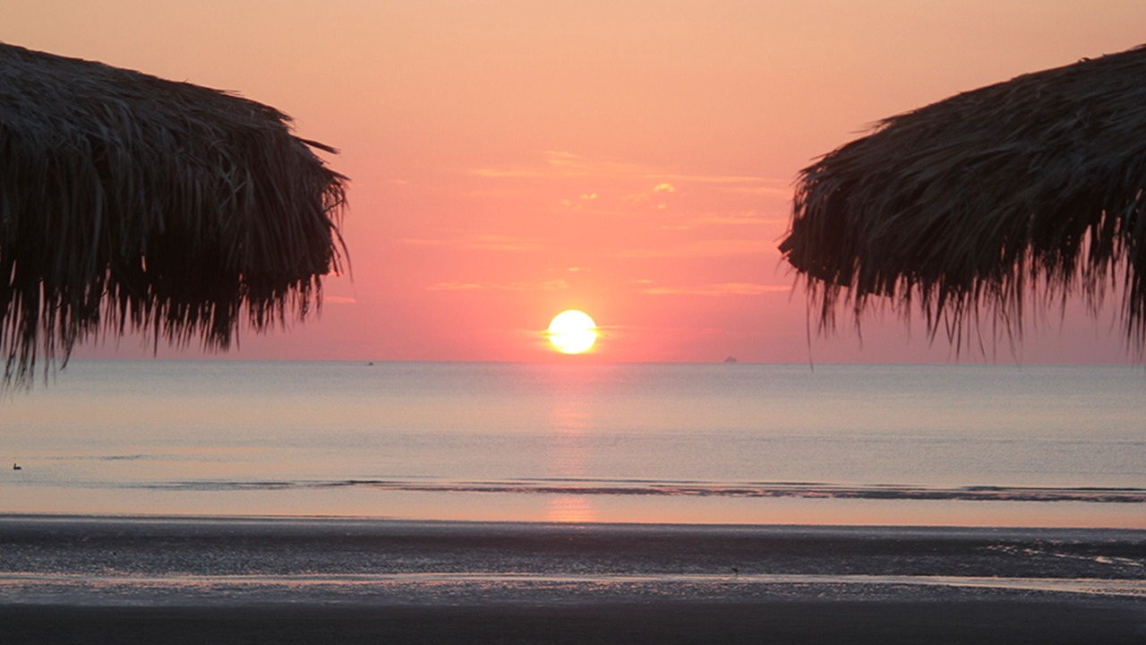 Photo of Others in San Felipe