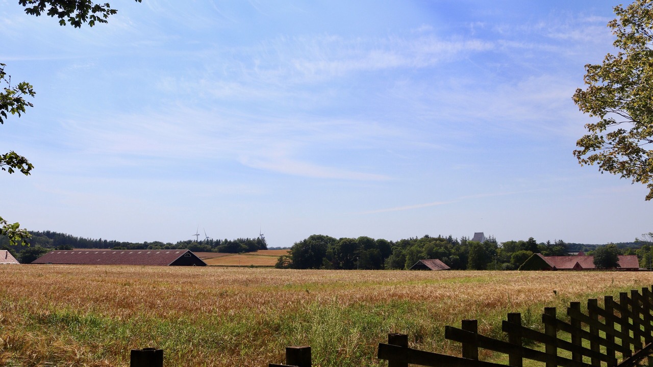 Photo of Outdoor in Holstebro