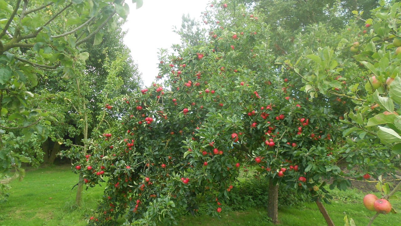 Photo of Outdoor in Ulceby