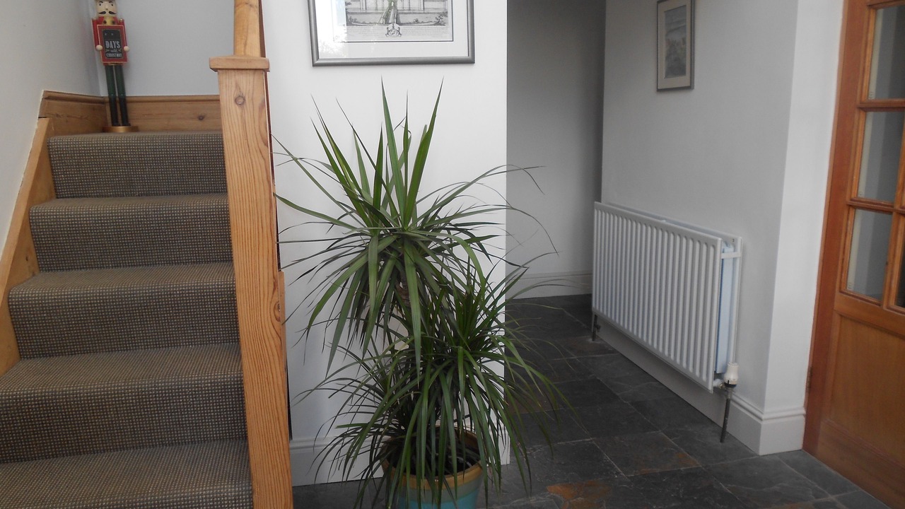 Photo of Others in Ulceby