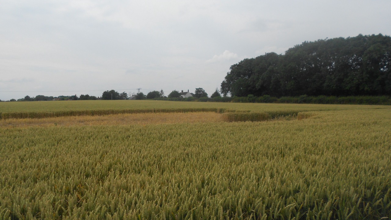 Photo of Outdoor in Ulceby