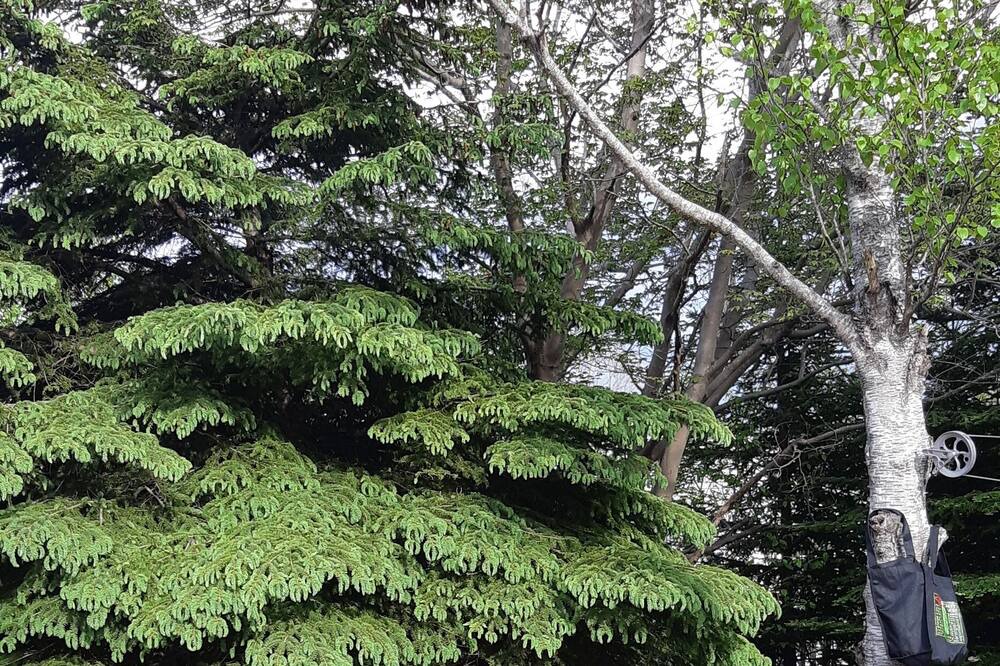 Photo of Others in Timberlea