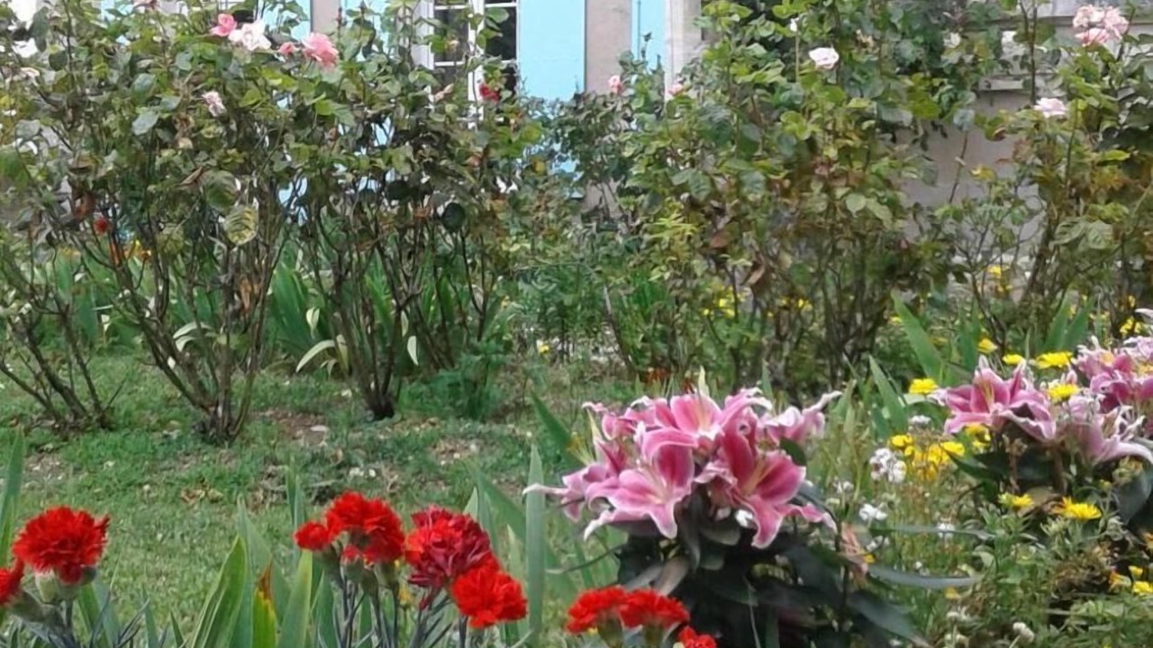 Photo of Outdoor in Le Gue-de-Velluire