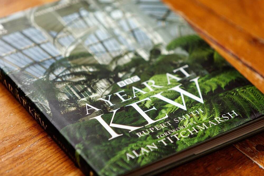 Photo of Others in St. Margarets and North Twickenham