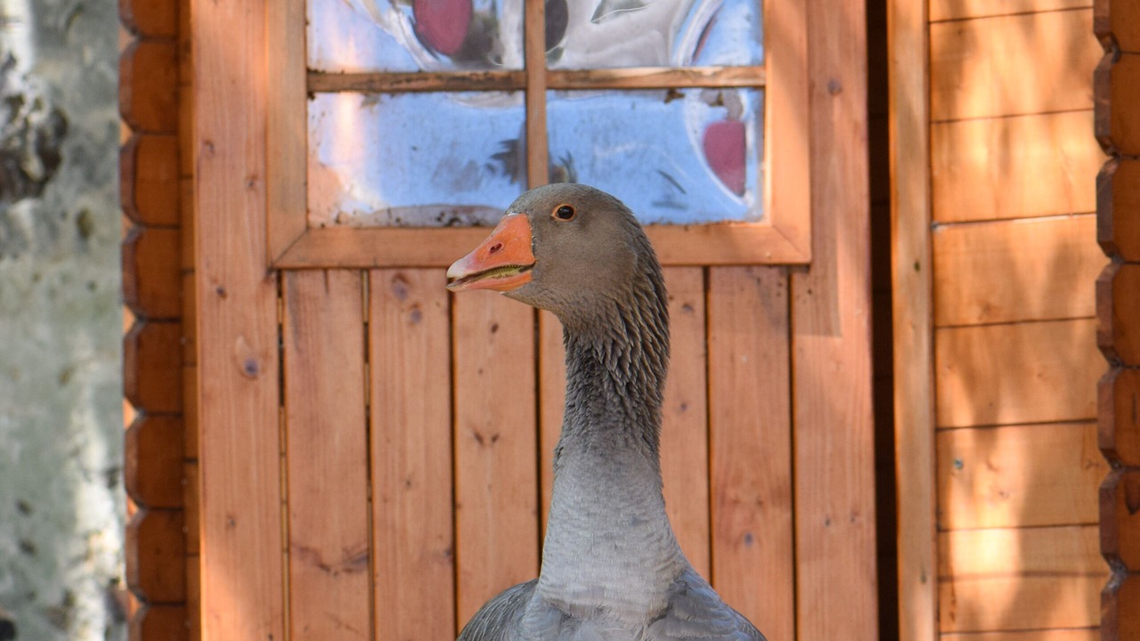 Photo of Outdoor in La Couture Boussey