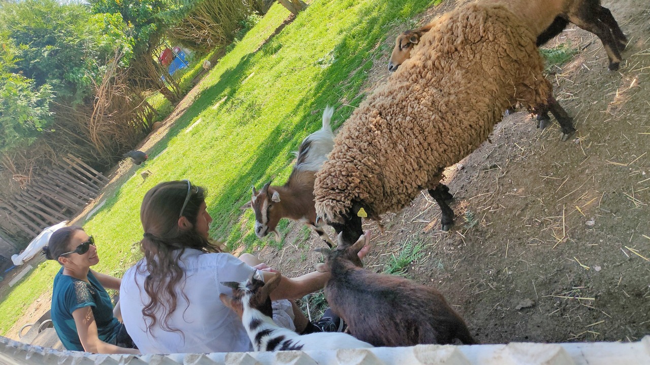 Photo of Outdoor in La Couture Boussey