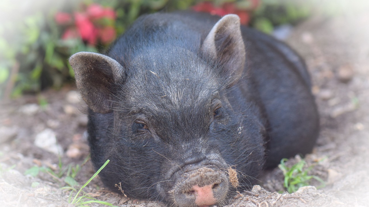 Photo of Outdoor in La Couture Boussey