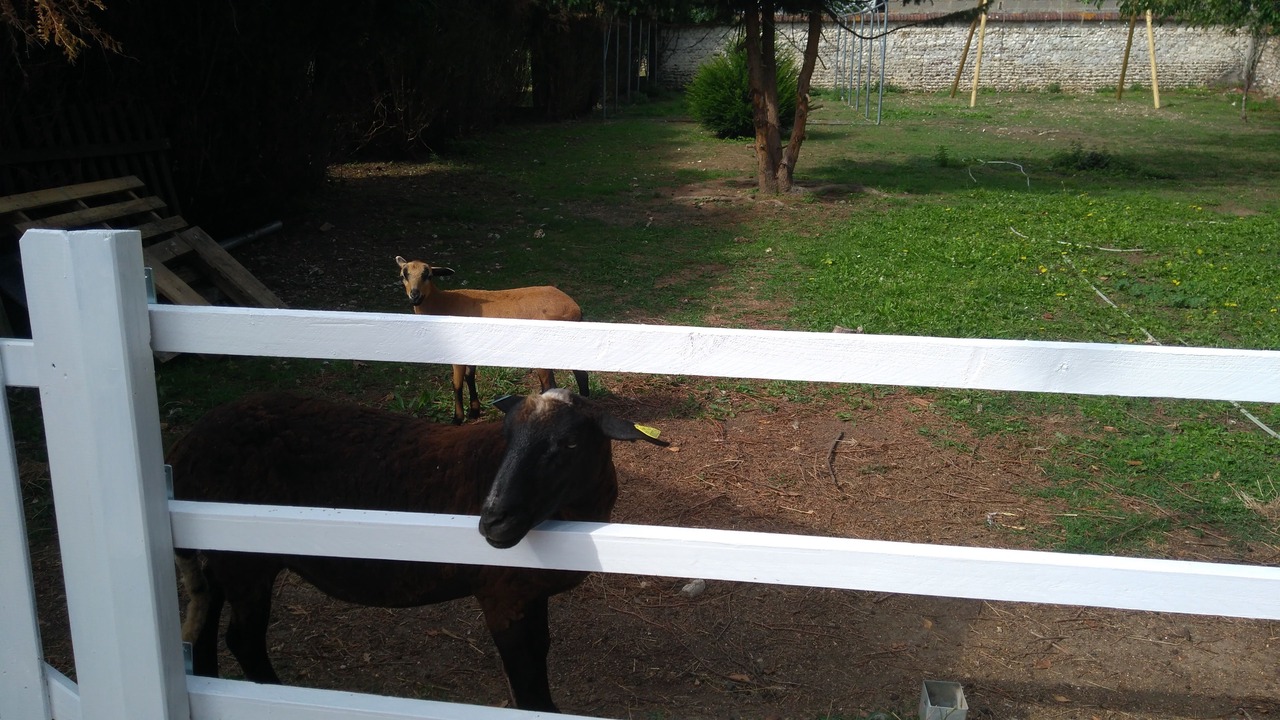 Photo of Outdoor in La Couture Boussey