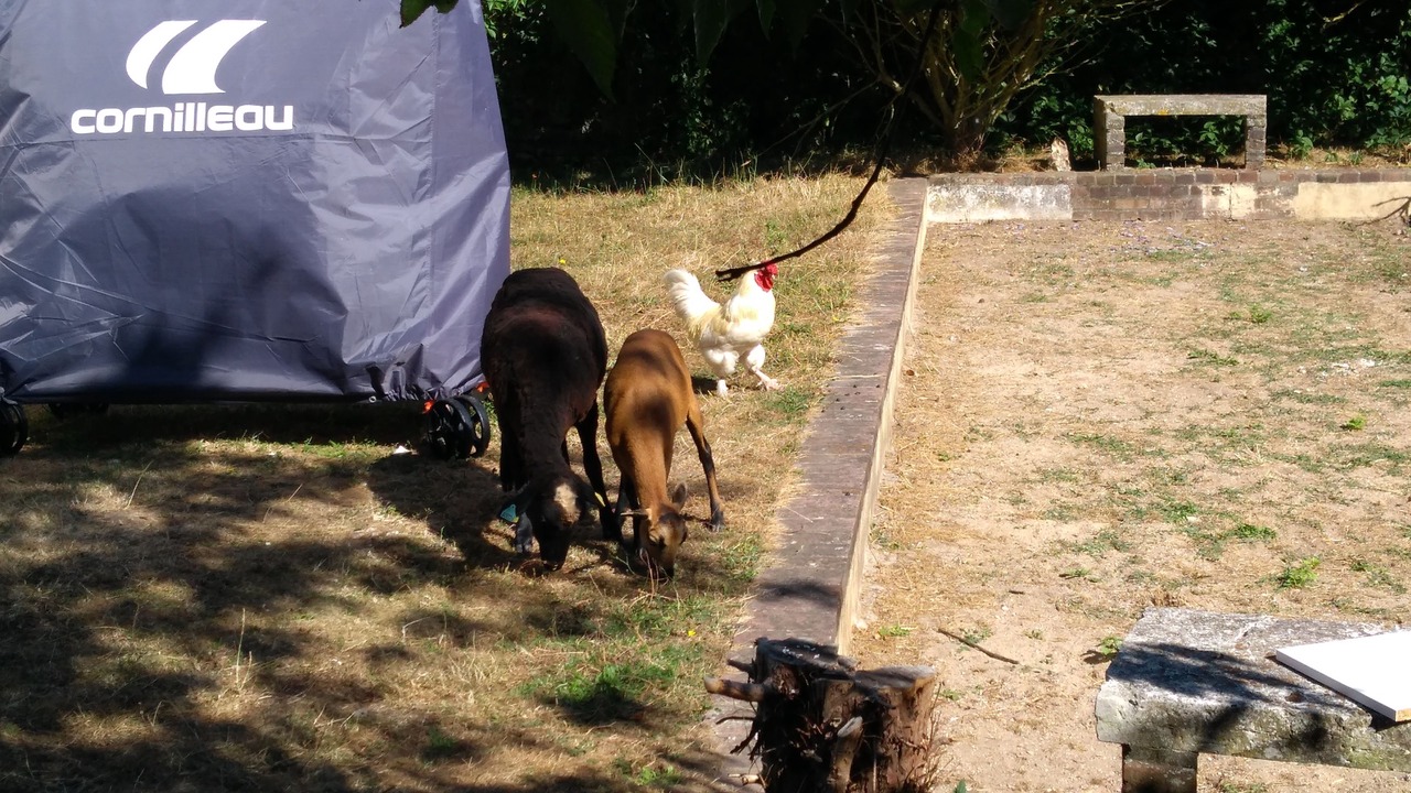 Photo of Outdoor in La Couture Boussey