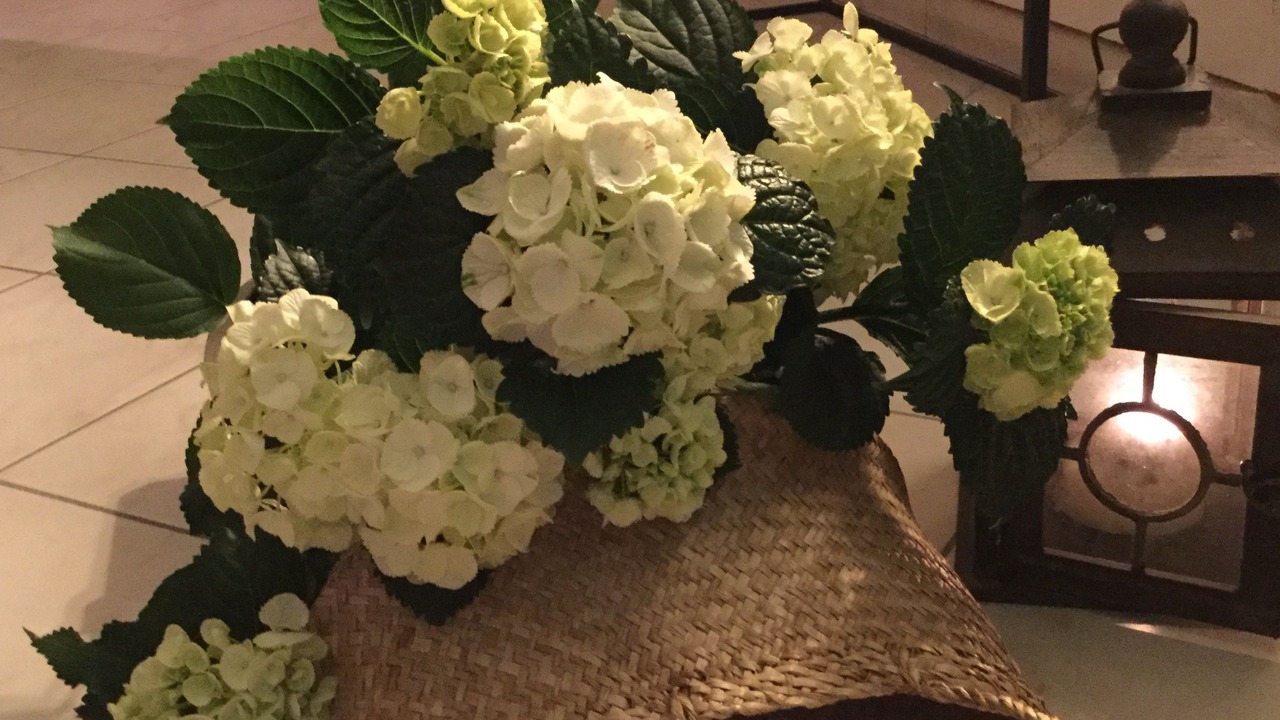 Photo of Others in Puymoyen