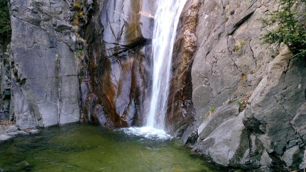 Photo of Outdoor in Ribes De Freser