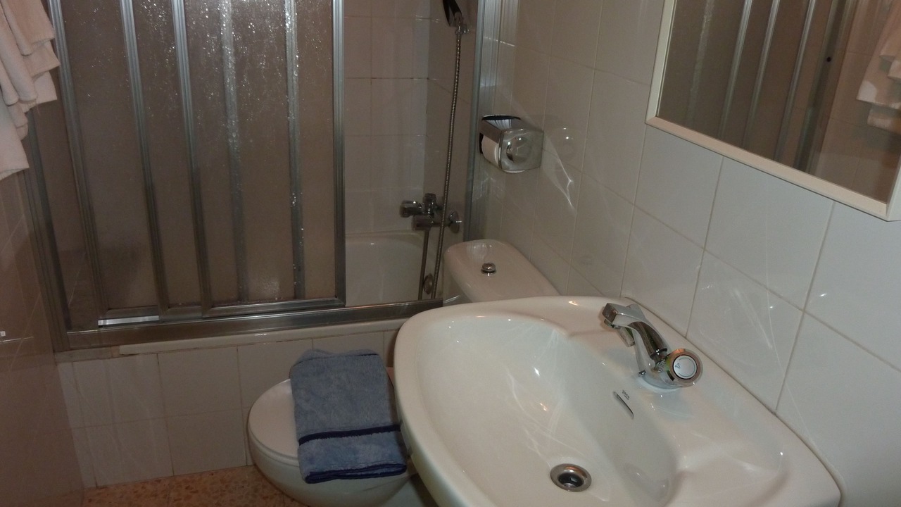 Photo of Bathroom in Ribes De Freser