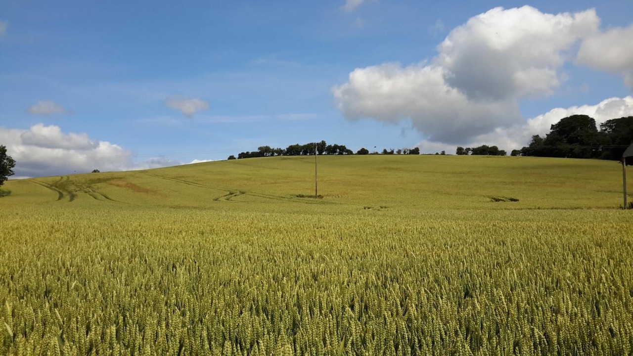 Photo of Outdoor in Whichford
