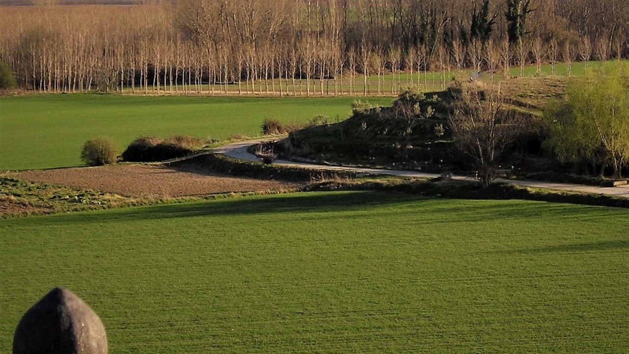 Photo of Others in Banos de Rioja