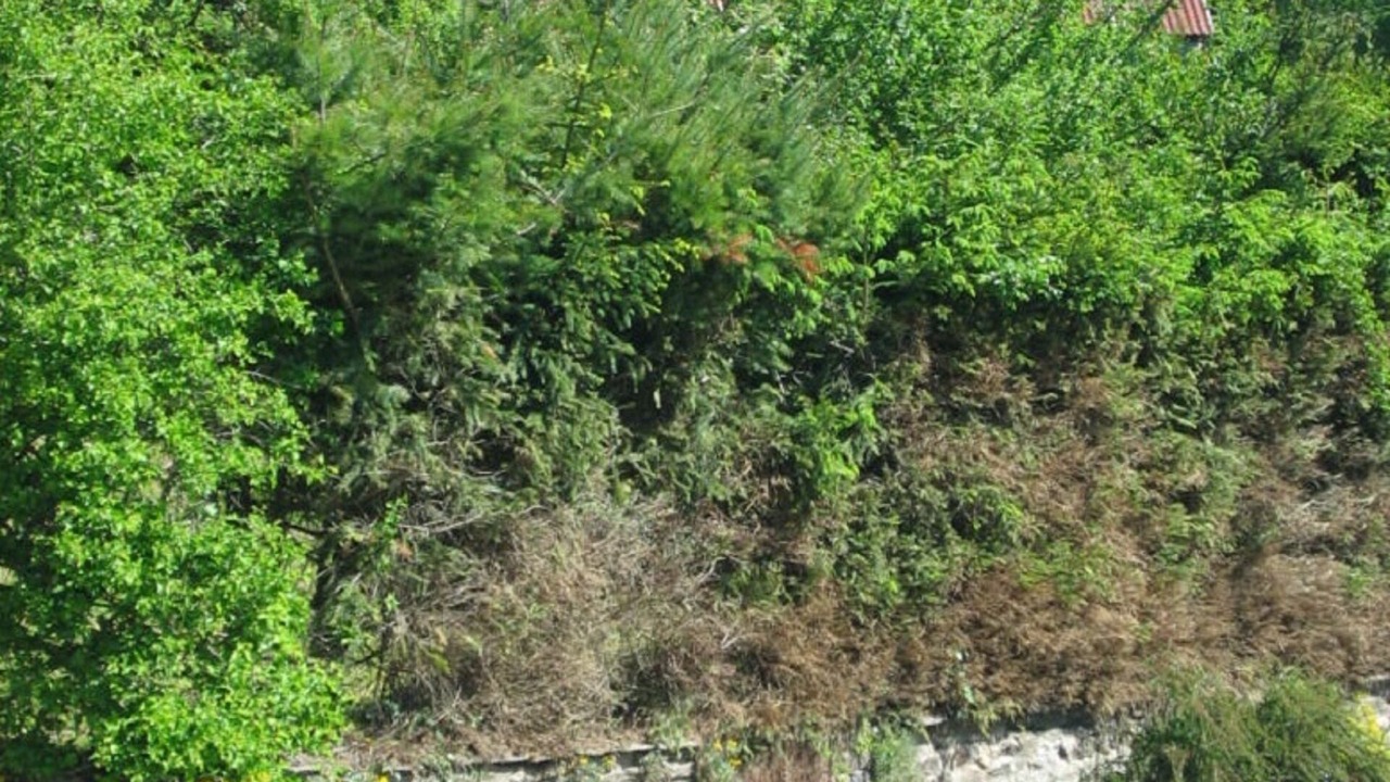 Photo of Outdoor in Aveze