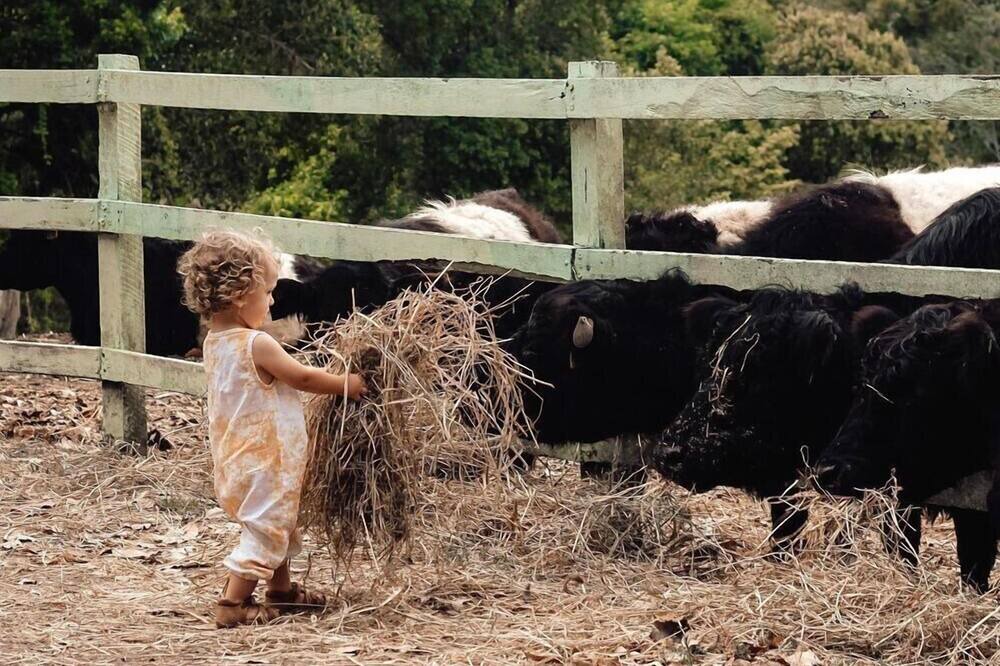 Photo of Outdoor in Cooran