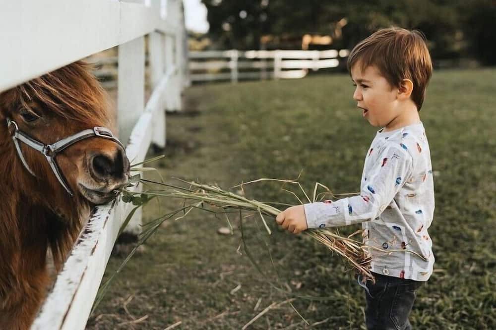 Photo of Others in Cooran