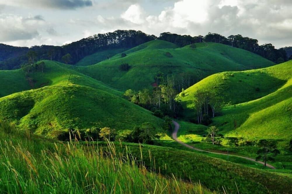 Photo of Others in Cooran