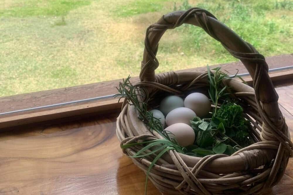 Photo of Outdoor in Cooran