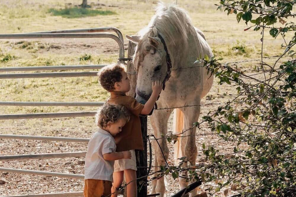 Photo of Outdoor in Cooran