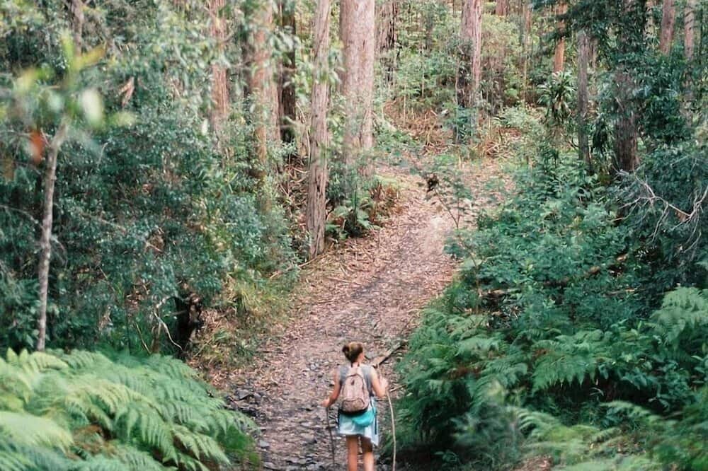 Photo of Others in Cooran