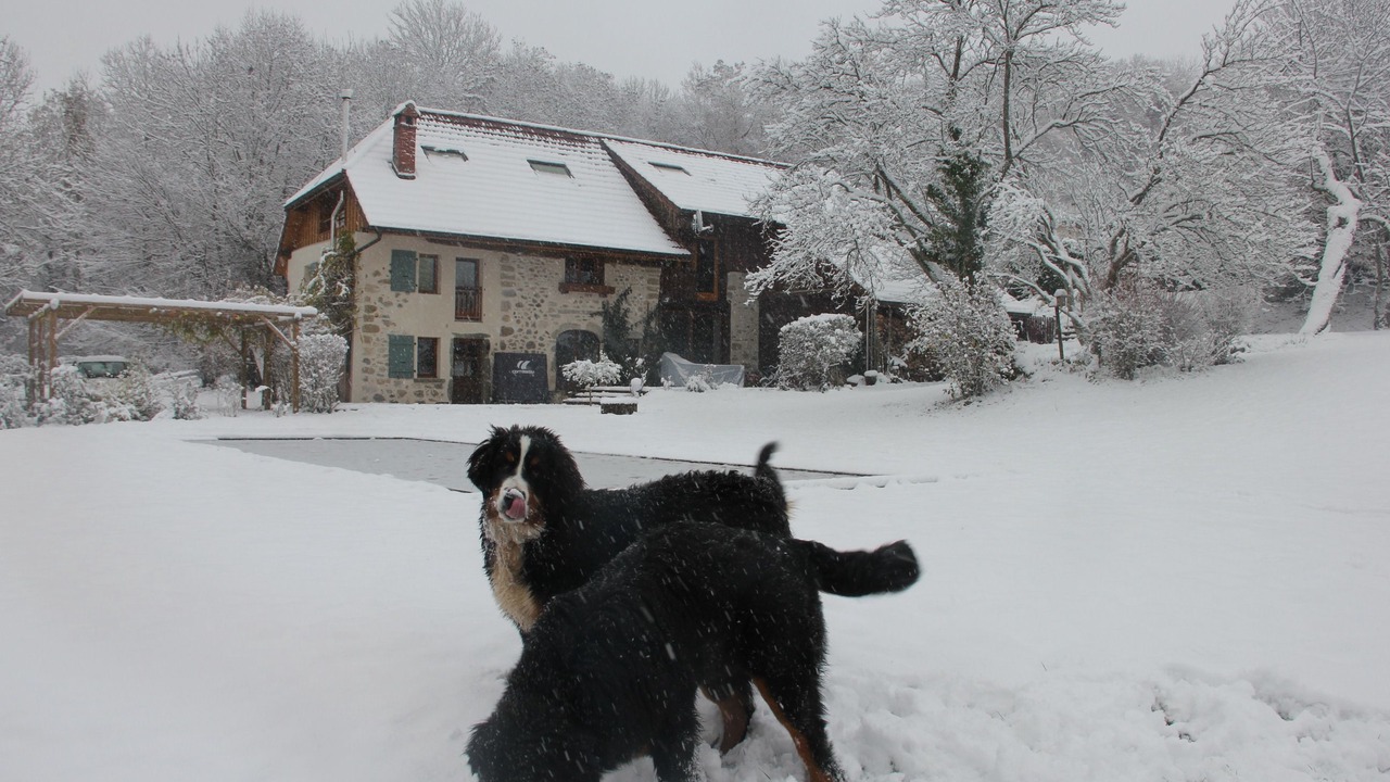 Photo of Outdoor in Chainaz-les-Frasses
