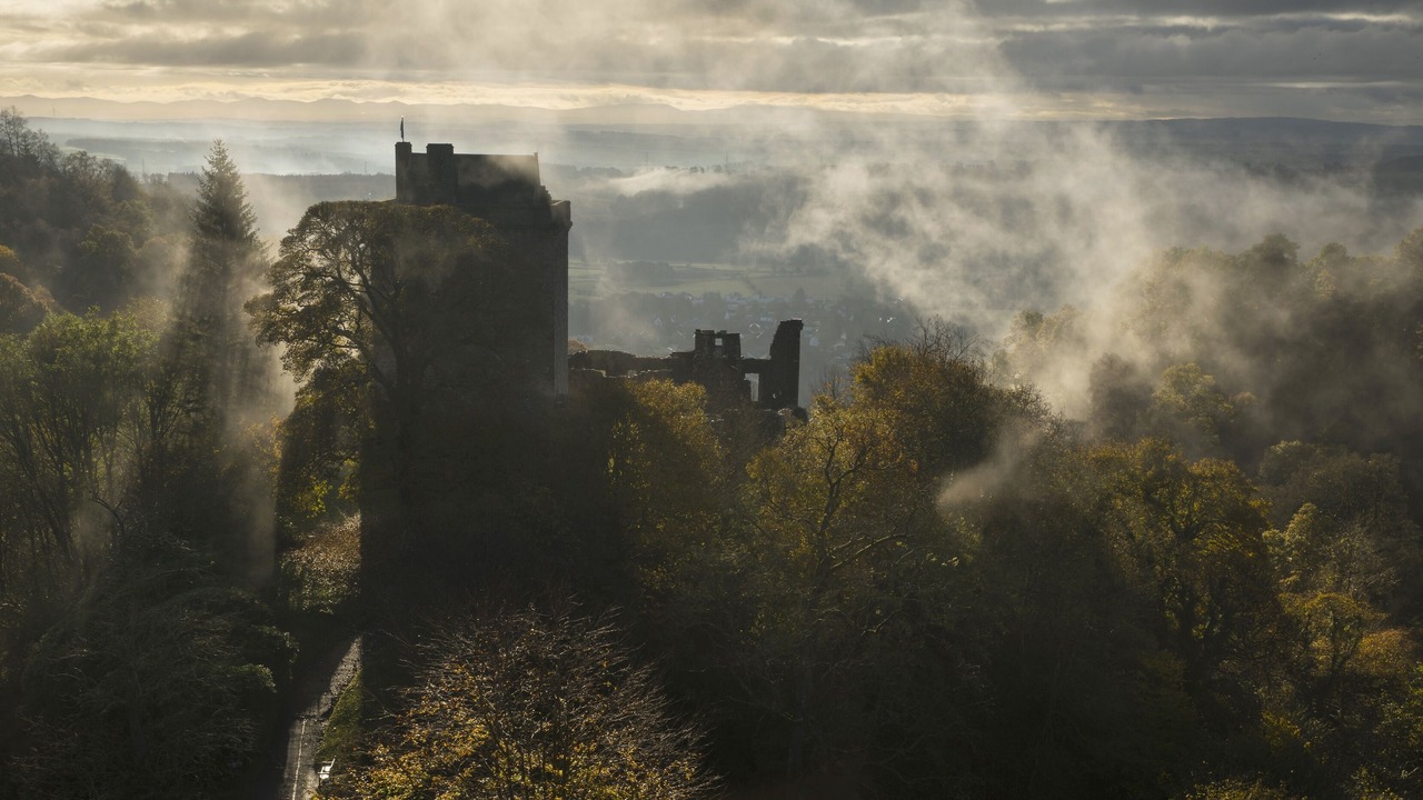 Photo of Others in Dollar