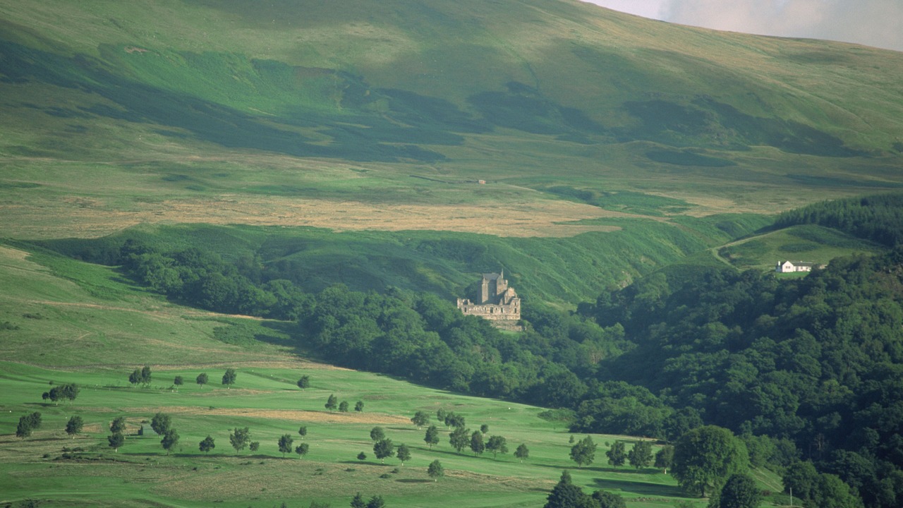 Photo of Others in Dollar