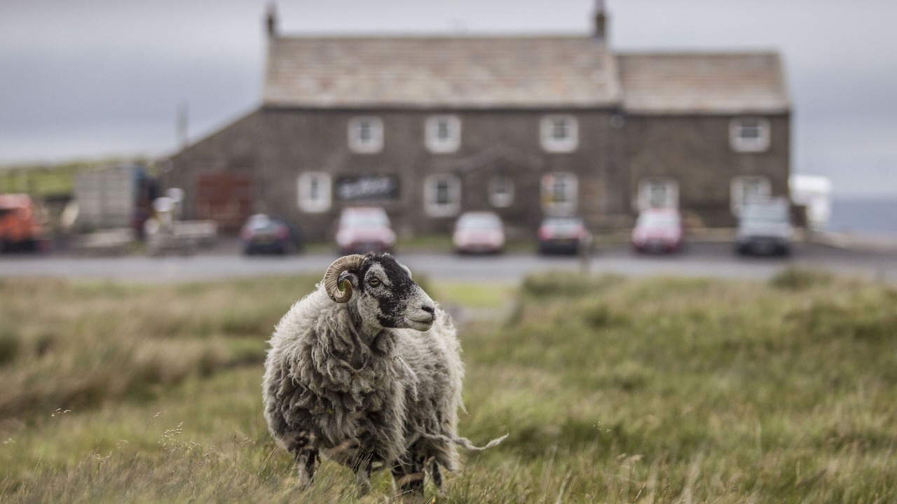 Photo of Outdoor in Fremington