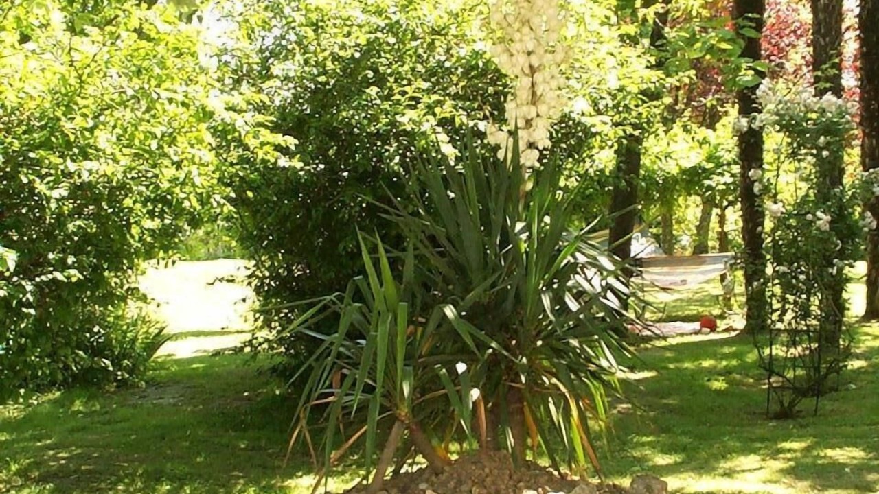 Photo of Outdoor in Saint-Thomas