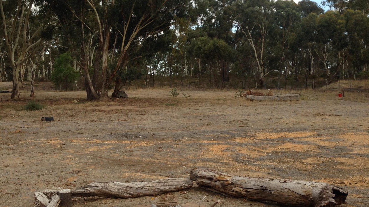 Photo of Outdoor in Wedderburn
