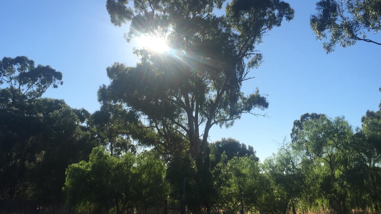 Photo of Outdoor in Wedderburn
