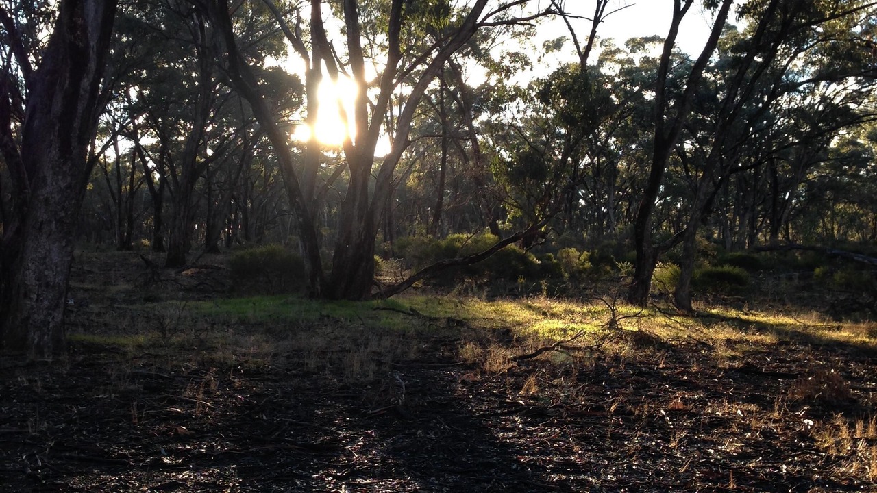 Photo of Outdoor in Wedderburn