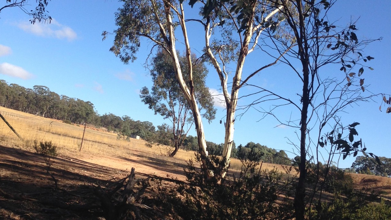Photo of Outdoor in Wedderburn