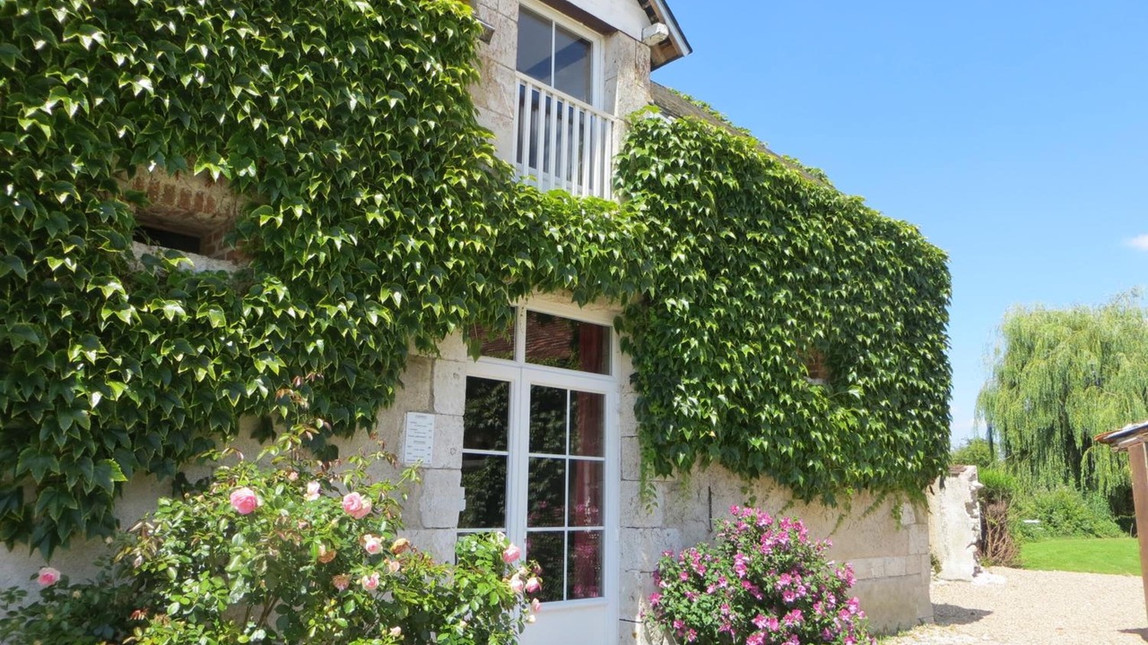 Photo of Outdoor in Avaray