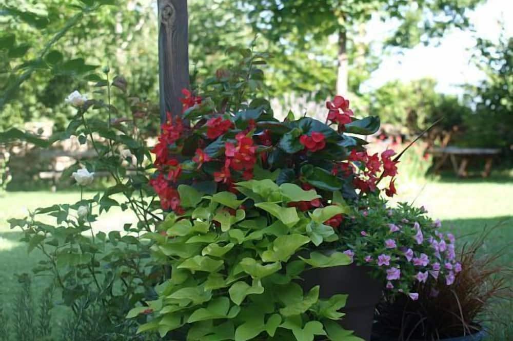 Photo of Outdoor in Ulle