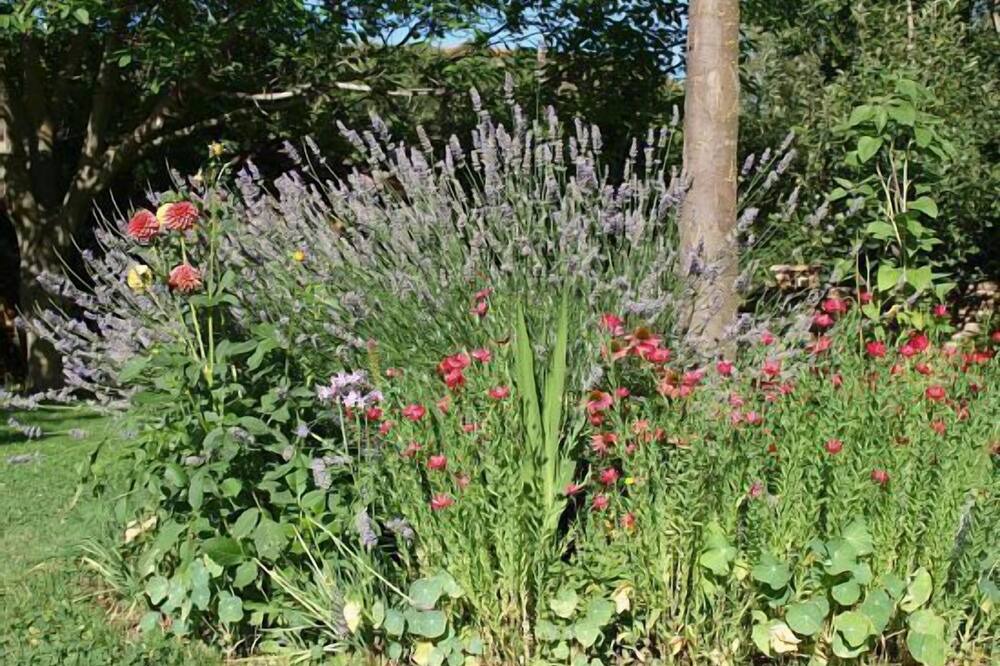 Photo of Outdoor in Ulle