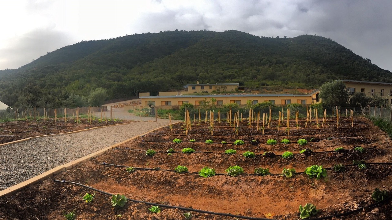 Photo of Outdoor in Alfondeguilla