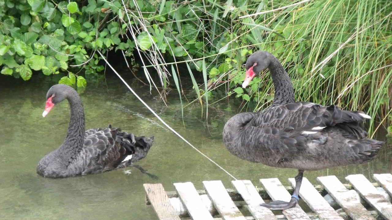 Photo of Outdoor in Aujac