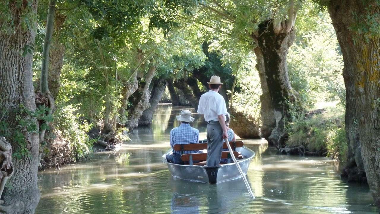 Photo of Others in Montreuil