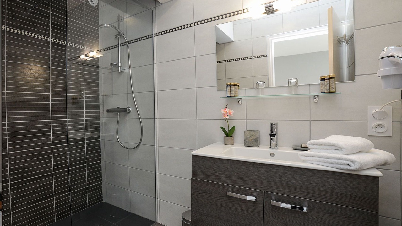 Photo of Bathroom in Novalaise