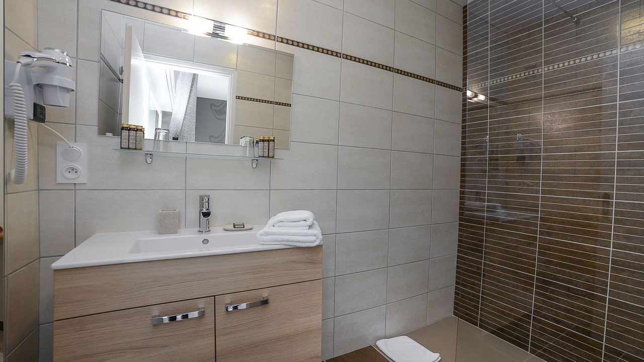 Photo of Bathroom in Novalaise