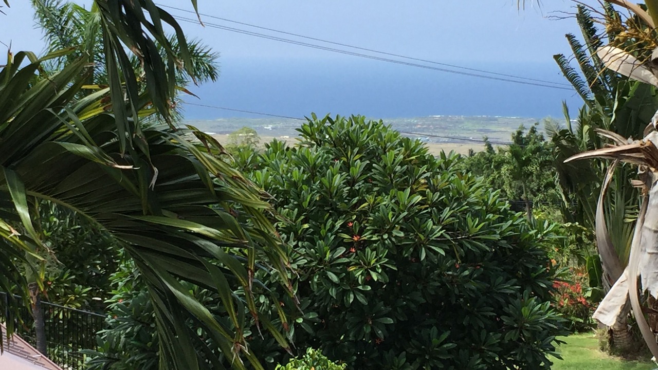Photo of Outdoor in Kona Palisades