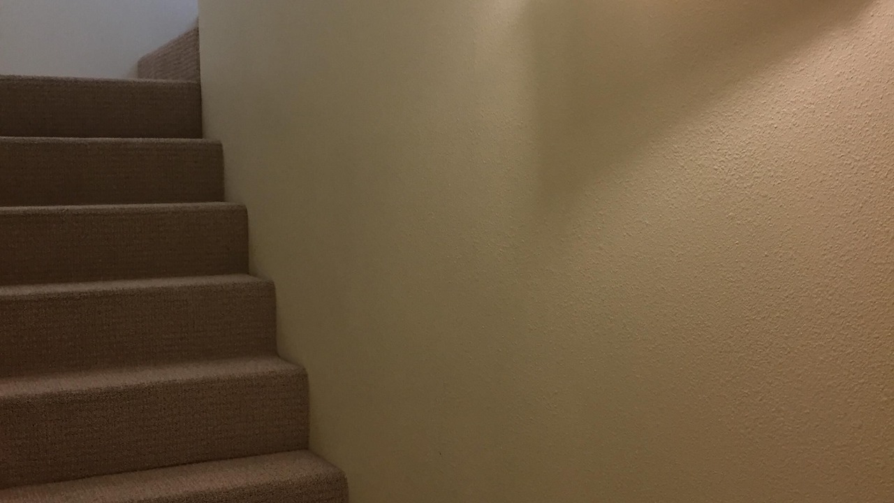 Photo of Others in Kona Palisades