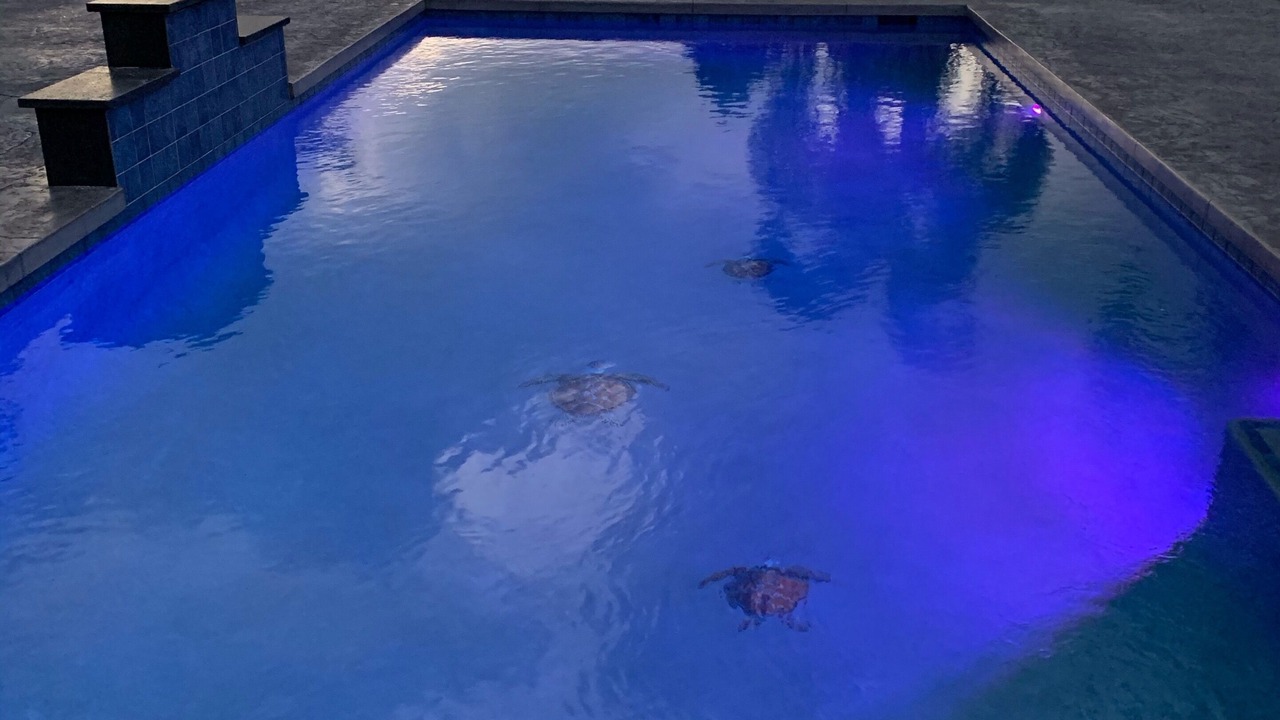 Photo of Outdoor in Kona Palisades