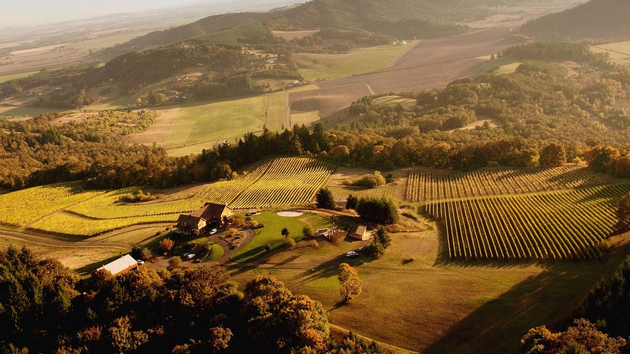 Photo of Outdoor in McMinnville