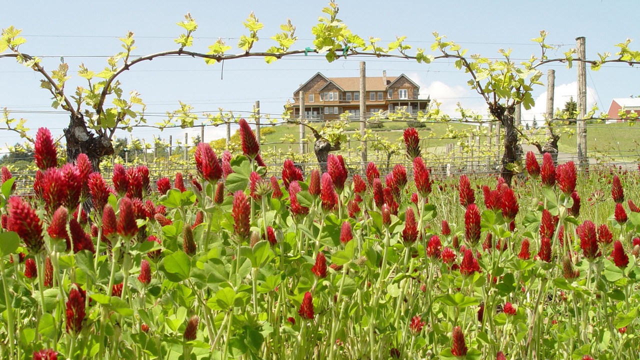 Photo of Outdoor in McMinnville