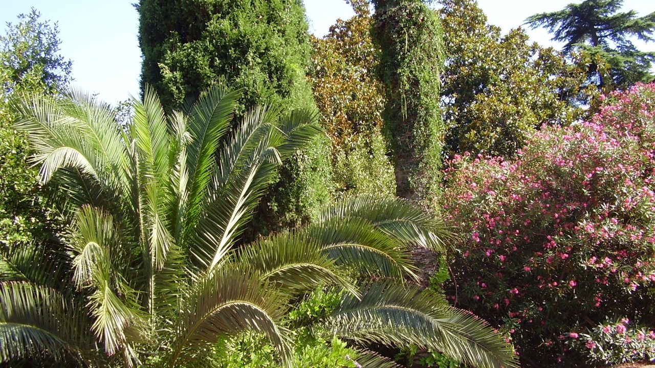 Photo of Outdoor in Komolac
