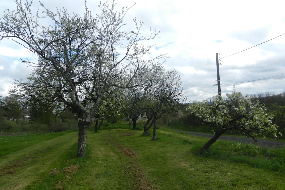 Photo of Outdoor in Chahaignes