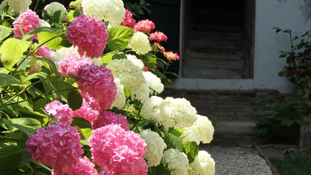 Photo of Outdoor in Le Fousseret